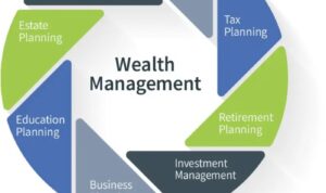 Wealth grow causey accountants preserve professionals estate