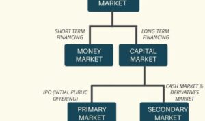 Financial participants function process investors