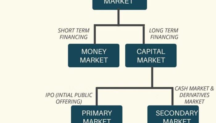 Financial participants function process investors