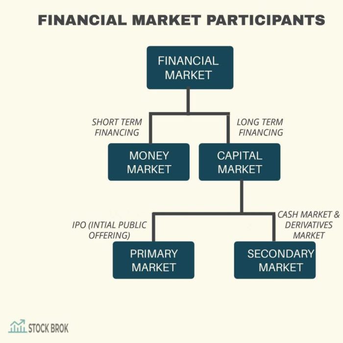 Financial participants function process investors