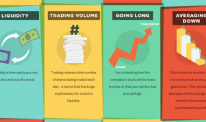 Terms market stock trading basic know share infographic beginner every should redfish value