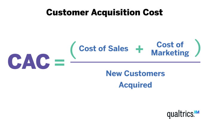 Customer Acquisition Cost