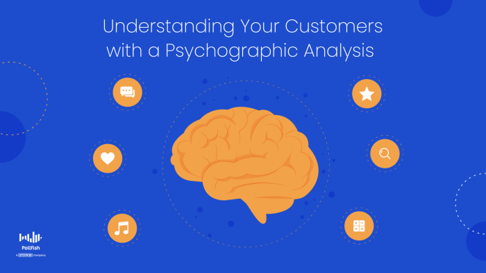 Understanding Audience Psychographics