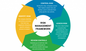 Risk management in finance