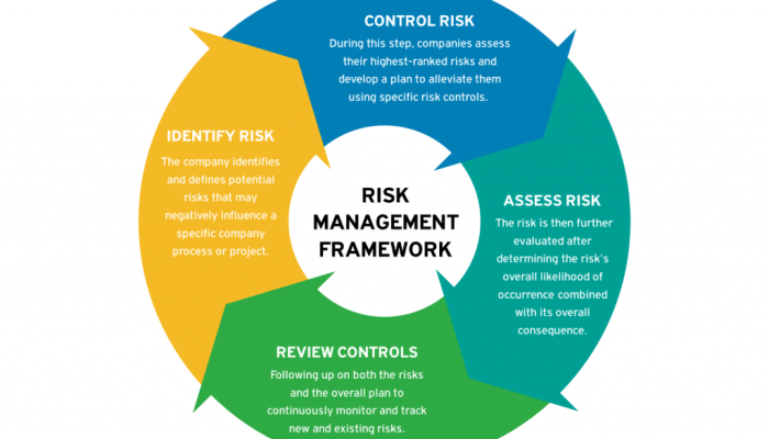 Risk management in finance