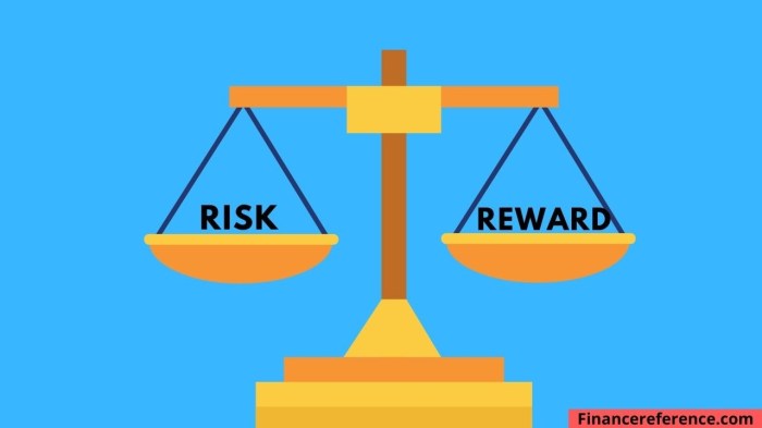 Risk vs reward in investing