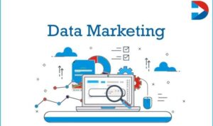 Using Customer Data in Marketing