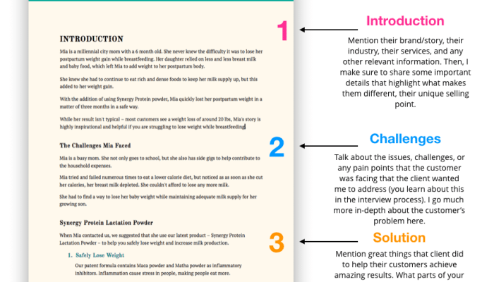 Writing Case Studies