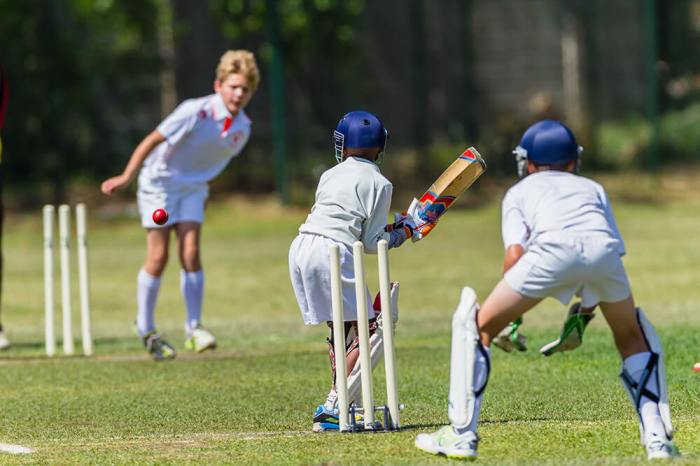 Cricket coaching tips