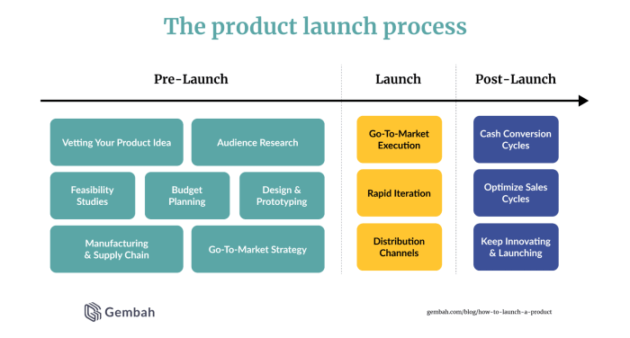 Developing a Product Launch Plan