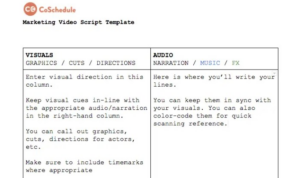 Writing Video Scripts for Marketing